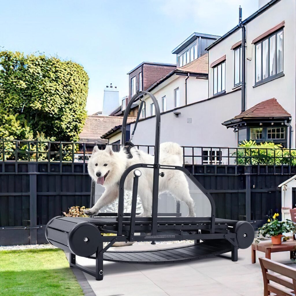 running machine for dogs